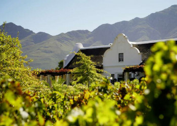 Südafrikanischer Wein - das "Blut der Erde"