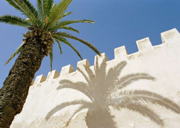 Schattenspiel mit Palme in der weißen Königsstadt Rabat