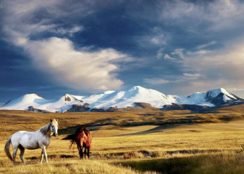 Die endlose Steppe der Mongolei vor schneebedeckten Bergen
