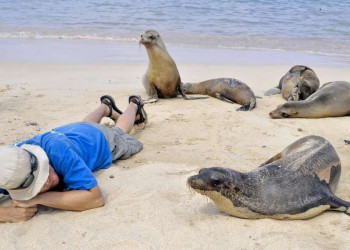 Rendezvous mit Seehunden auf Galápagos