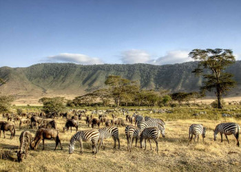 Grzimek nannte ihn eines der Weltwunder - der Ngorongoro-Krater in Tansania