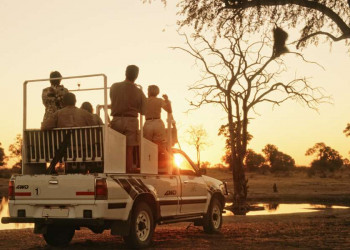 Safari bei Sonnenuntergang in Simbabwe
