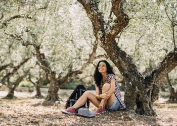 Ständige Kulisse auf Kreta: Olivenhaine