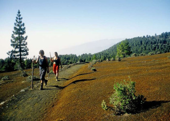 Wandern auf La Palma