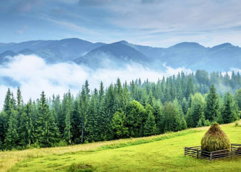 Endlose Wälder und Karpatengipfel in Rumänien