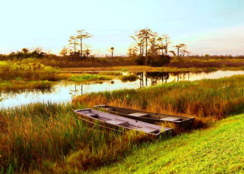 Malerische Flusslandschaft in Louisiana