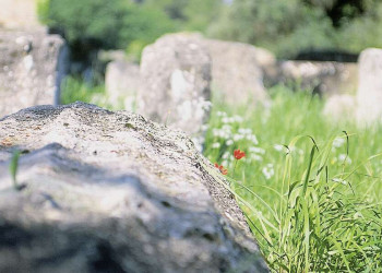 Natur und Antike: die Ausgrabungen von Olympia