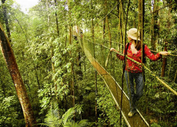 Der Mount-Kinabalu-Nationalpark auf Borneo
