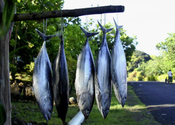 Fische zum Verkauf auf Samoa
