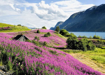 Der tiefste Fjord Europas: Sognefjord