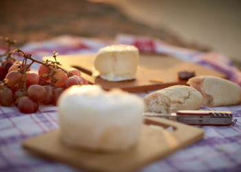 Picknick mit Käse und frischem Brot