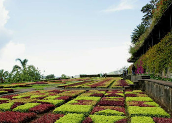 Der botanische Garten in Funchal, Madeira