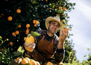 Der Saft der reifen Orangen - Erfrischung auf unserer Reise durch Zypern