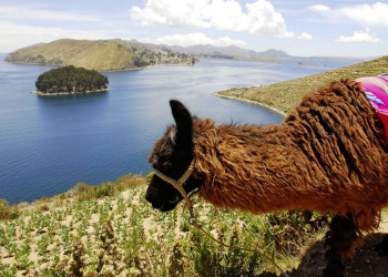 Blick auf den Titicacasee zwischen Peru und Bolivien