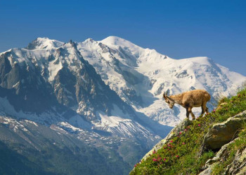 Blick auf den Mont Blanc