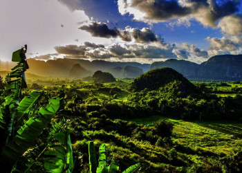 Zuckerhutförmige Kalksteinkegel ragen aus der Ebene bei Vinales