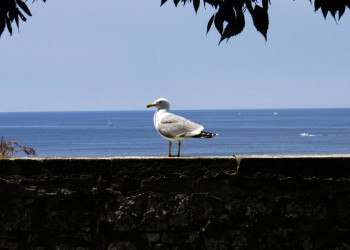 Mediterrane Stimmung an der Adria
