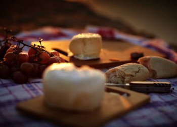 Käse, Brot und Trauben fürs Picknick in Portugal