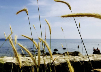 Küstenimpressionen in Kroatien