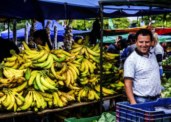 Bananenstand auf einem Markt