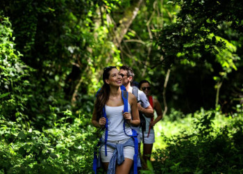 Auf Entdeckung im üppigen tropischen Grün