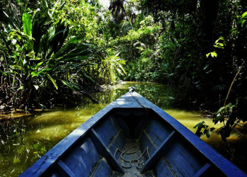 Per Boot auf dem Wasserweg durch den Regenwald