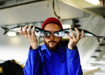 Fisch ist in Norwegen allgegenwärtig