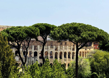 Blick auf das Kolosseum