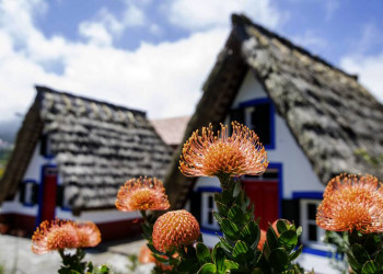 Ländlich schön auf Madeira