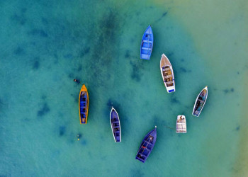 Laissez-faire auf Mauritius
