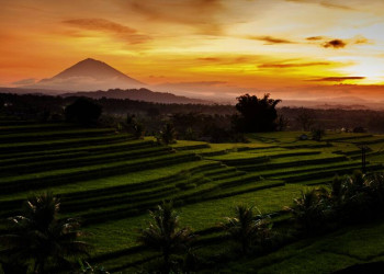 Reisterrassen und Vulkan auf Bali