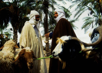 Traditioneller Markt im Süden Tunesiens