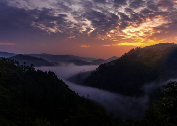Abendstimmung im Bwindi-Nationalpark
