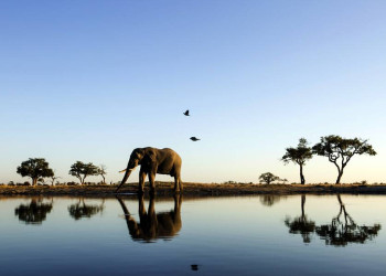 Auf Safari in Botswana- überwältigend schön!