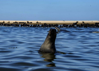 Die Walvis Bay in Namibia