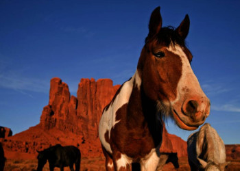 Begegnung im Monument Valley