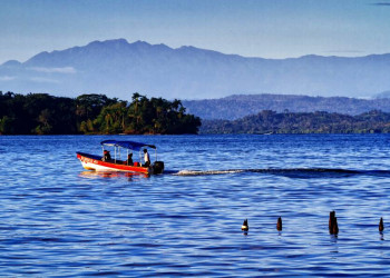Per Boot die Umgebung der Bocas del Toro erkunden - traumhaft!