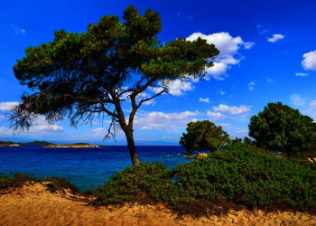 Landschaft auf der ursprünglichen Halbinsel Sithonia