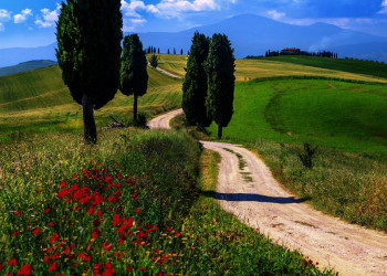 Feldweg in der Toskana