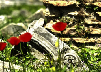 Reste eines Kapitells auf dem Forum Romanum