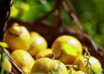 Sizilien - Seele des Landes, wo die Zitronen blüh'n