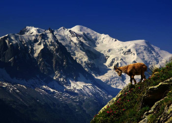 Blick auf den Mont Blanc