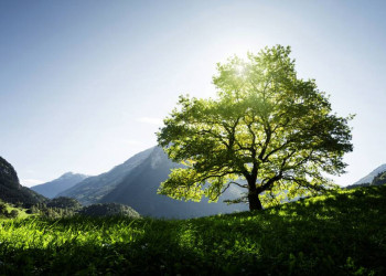 Im Bergland der Westalpen