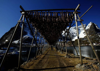 Norwegischer Trockenfisch - eine Spezialität mit Tradition