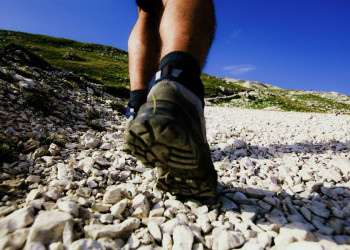 Perfektes Profil für unsere Wanderreise durchs Baltikum