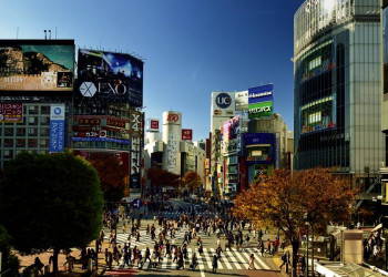 Shibuya & Co.: Tokios Zebrastreifen sind legendär ...