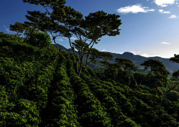 Unterwegs in der Natur Panamas