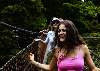 In luftiger Höhe durch den Monteverde-Nationalpark