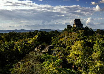 Mayaruinen von Tikal in Guatemala