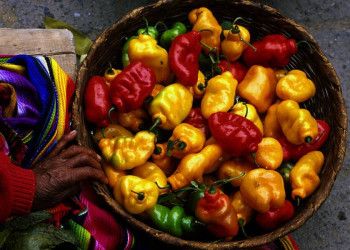 Die guatemaltekische Küche ist bunt wie das Land